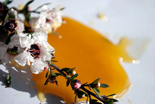 Manuka Honey and the Manuka Fower in differential focus. The focus is on the Manuka Flower.